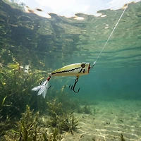 H2OX Top Water Popper