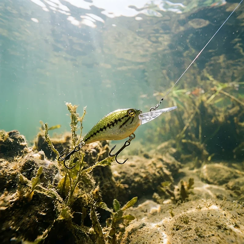 H2OX Medium Diving Ultra-Light Crankbait