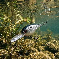 H2OX Medium Diving Ultra-Light Crankbait