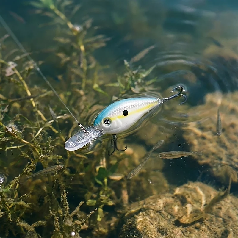 H2OX Medium Diving Ultra-Light Crankbait