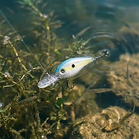 H2OX Medium Diving Ultra-Light Crankbait