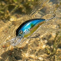 H2OX Model S Shallow Running Crankbait