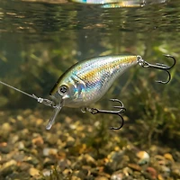 H2OX Premium Shallow Square Bill