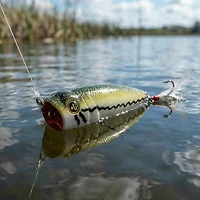 H2OX Mag Top Water Popper
