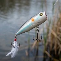 H2OX Mag Top Water Popper