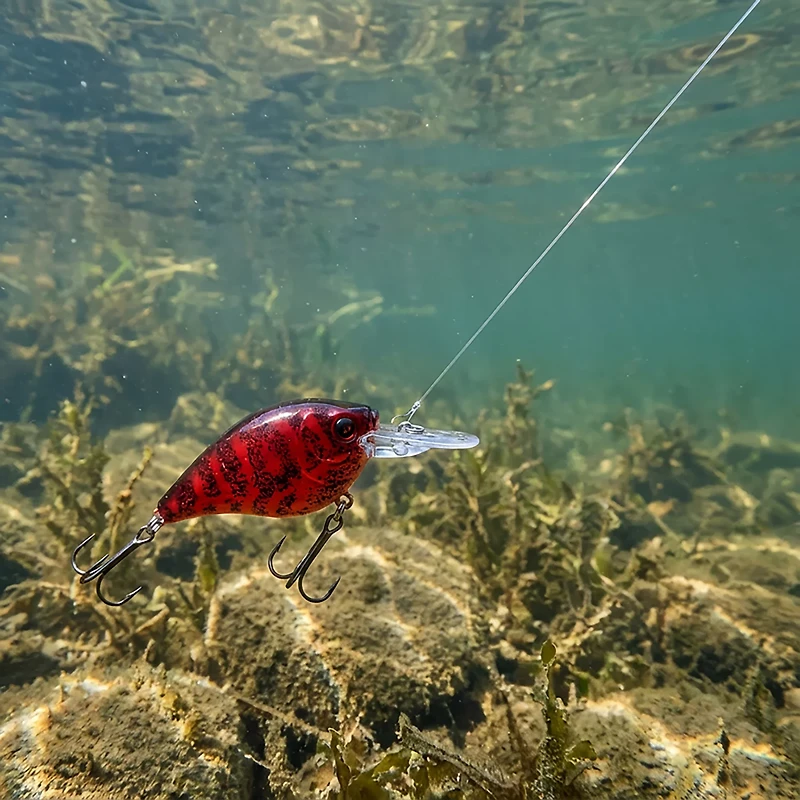 H2OX Premium Medium Diving Square Bill Bait