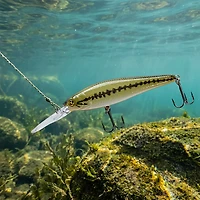 H2OX Premium Floating Jerk Shad Bait