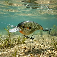 H2OX Shallow Diving Skinny Square Bill