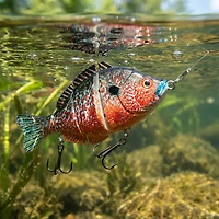 H2OX 3.5 inch Jointed Sunfish