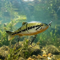 H2OX 3.5 Jointed Swim Shad Bait