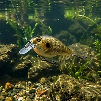 H2OX Shallow Running Ultralight