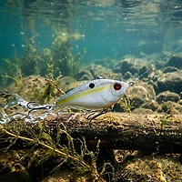H2OX RT Lipless Crankbait