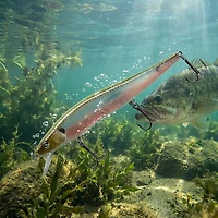 H2OX Ultimate Jerk Shad Bait