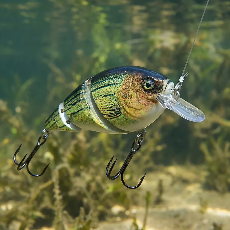 H2OX Premium Jointed Square Bill Bait
