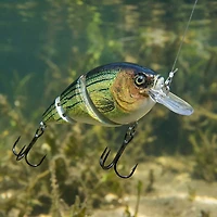 H2OX Premium Jointed Square Bill Bait
