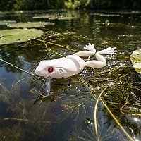 H2OX Jointed Wake Frog