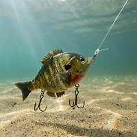 H2OX Sinking Hybrid Jerk Sun Fish Bait