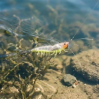 H2OX 3 inch Hover Shrimp
