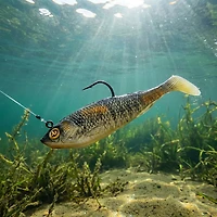 H2OX 3 inch Prerigged Swim Shad