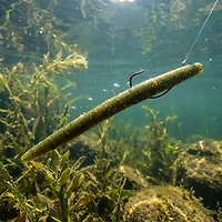 H2OX 5 inch Stick Bait 10 Pack