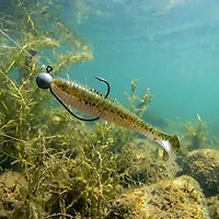 H2OX 3.8 inch X Swimmer Bait 6 Pack