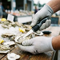 H2OX Deluxe Oyster Knife