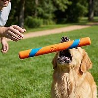 Chuckit! Ultra Fetch Stick