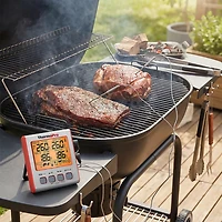 ThermoPro TP17W Digital Meat Thermometer