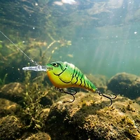 Rapala Dives-To 06 Crankbait Lure