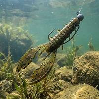 H2OX 4 Craw 8-Pack
