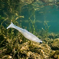 Rapala CrushCity Mayor 4 6-Pack