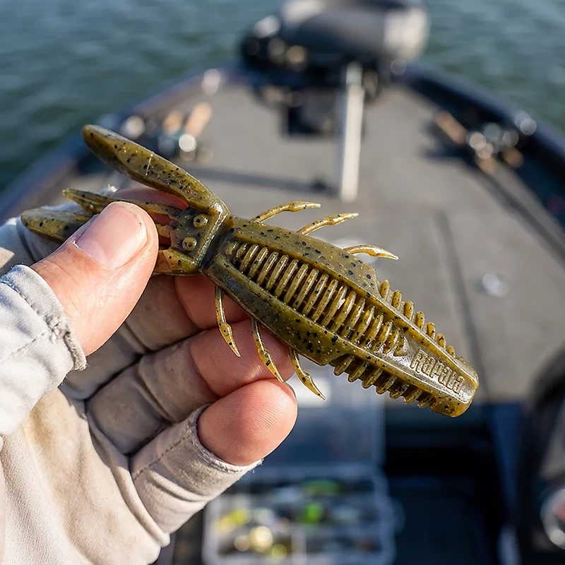 Rapala CrushCity Bronco Bug 4 6-Pack