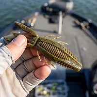Rapala CrushCity Bronco Bug 4 6-Pack