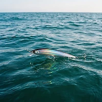 Yo-Zuri Hydro Minnow 6 Long Cast Bait
