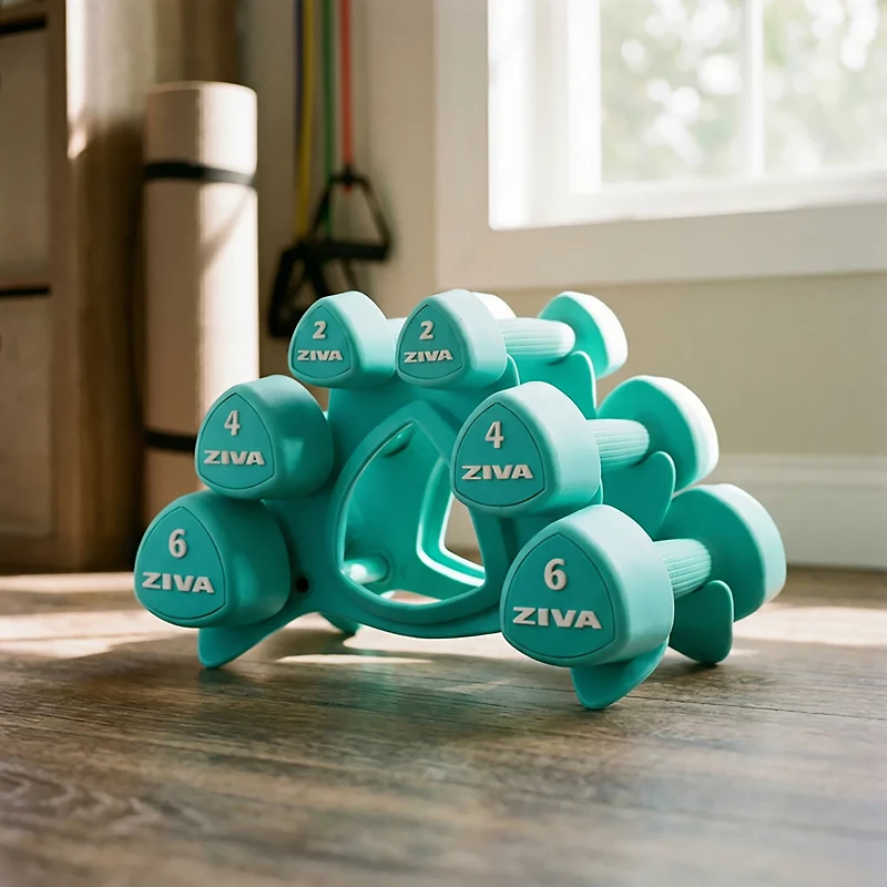 ZIVA Chic 24 lbs Dumbbell Set with Stand
