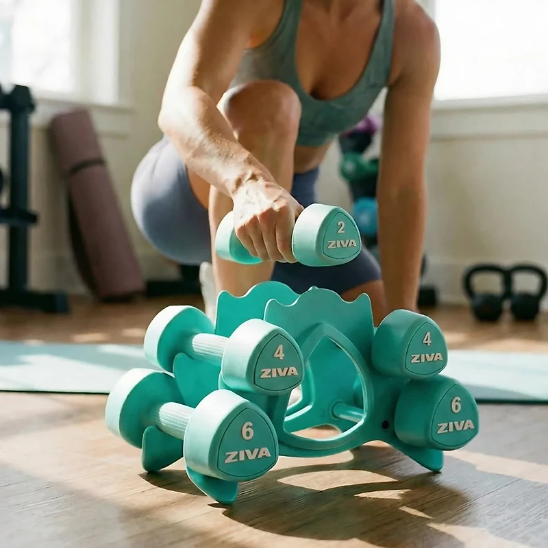 ZIVA Chic 24 lbs Dumbbell Set with Stand