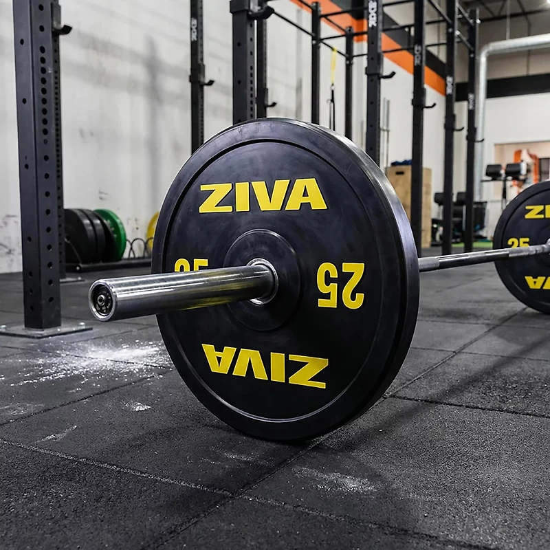 ZIVA Performance Rubber Bumper Plate – Single