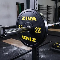 ZIVA Performance Rubber Bumper Plate – Single