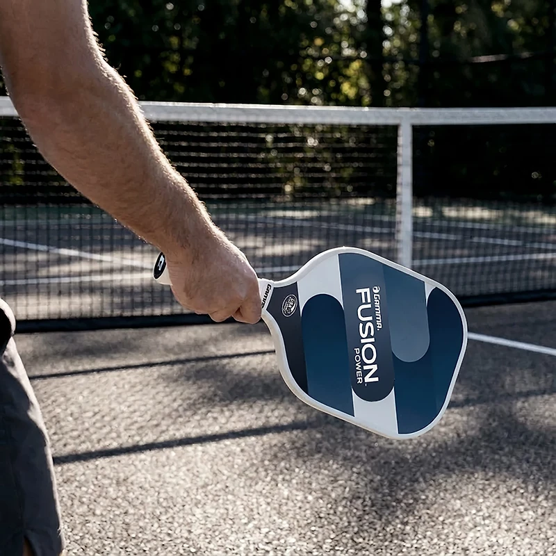 Gamma 2024 Fusion Power Pickleball