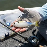 6th Sense Panorama 5 Soft Baits 3-Pack