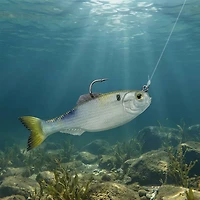 6th Sense Panorama 6.5 Soft Baits 2-Pack