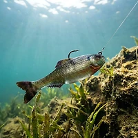 6th Sense Panorama 2.75 Soft Baits 8-Pack
