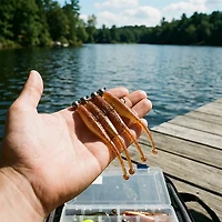 Kwigglers Wigglers Jr Ball Tail Shad 7-Pack