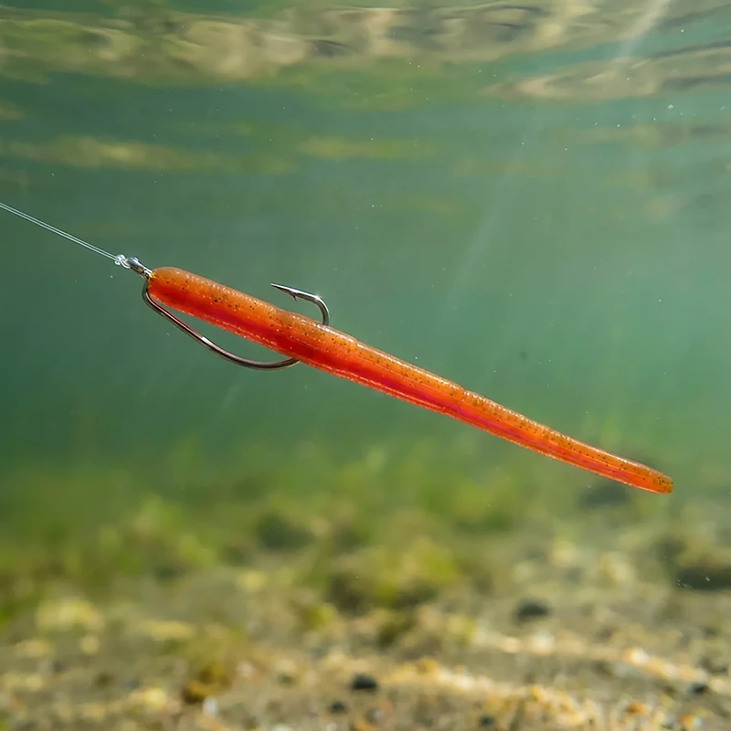Roboworm Straight Tail 4.5 in. Bait 10-Pack