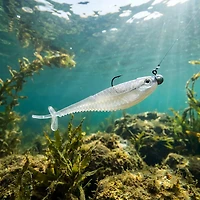 CrushCity Mooch Minnow 6-Pack