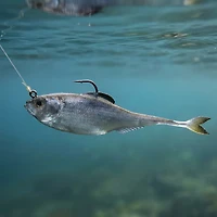 6th Sense Fiction Shad 2.8 in. Unrigged Plastic Swim Bait 6-Pack