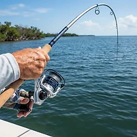Quantum Strive Spinning Combo