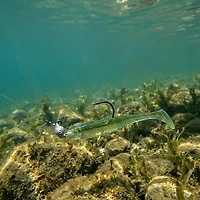 Owner Range Roller Jigheads 4-Pack