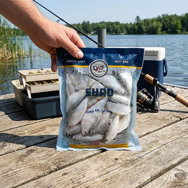 DMF Bait Shad 8 oz Frozen Bait