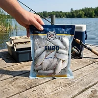 DMF Bait Shad 8 oz Frozen Bait